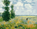 Campo de amapolas  VA-2360