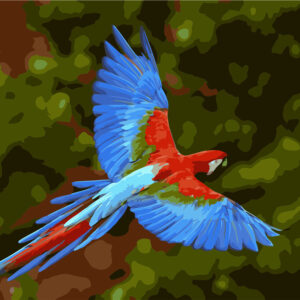 Guacamayo en vuelo VA-0549
