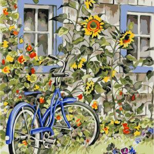 Bici en el jardín VA-0862